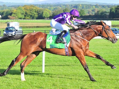 Alpha Centauri And Saxon Warrior Retired With Injuries Image 2