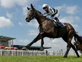 Alpha Centauri And Saxon Warrior Retired With Injuries