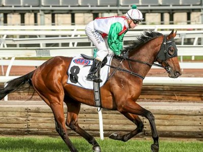 Review: G.1 Makybe Diva Stakes 2018 Image 3