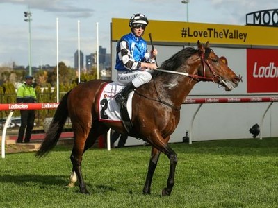 The Gr.1 Moir Stakes' Happenings Image 3