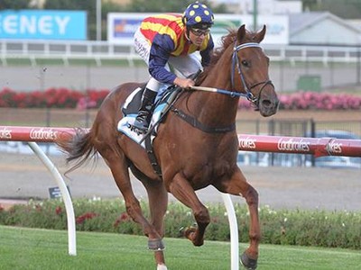 The Gr.1 Moir Stakes' Happenings Image 2