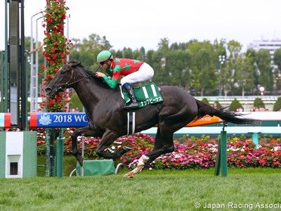 Preview - Gr.1 Sprinter Stakes (Japan) 2018 Image 3