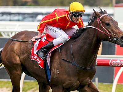 Preview: G.1 Moir Stakes 2018 Image 2