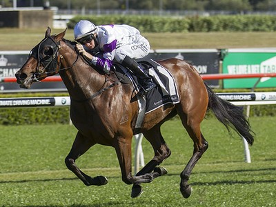 Kennewell's Charge Viddora May Gain Entry To Everest Image 3