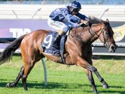 Review: Gr.1 Moir Stakes Image 1