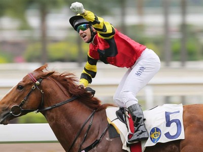 Hong Kong Raider Lucky Bubbles Injured In Japan Image 1