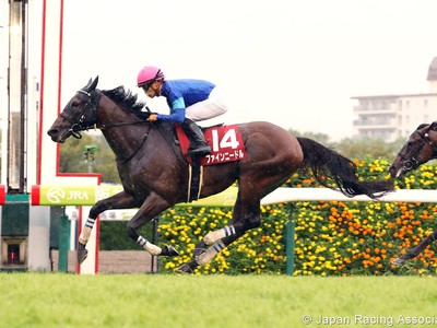 Review - Gr.1 Sprinter Stakes (Japan) 2018 Image 1