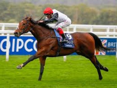 Cracksman May Side Step Arc, To Contest Champion Stakes Image 1