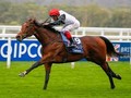 Cracksman May Side Step Arc, To Contest Champion Stakes