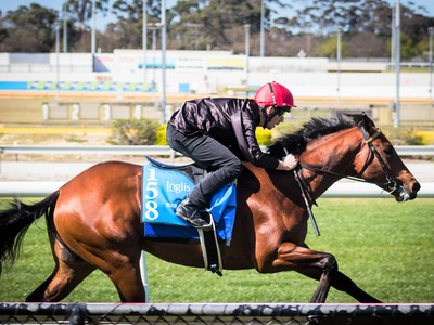 High 66% Clearance Rate At Inglis Ready2Race Sale (2018) Image 2