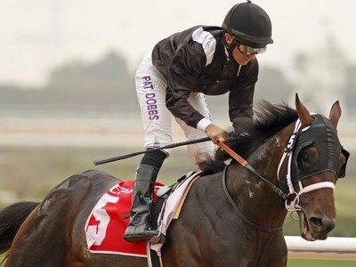 Cosmo Charlie Headlines Jebel Ali's Season Opener Image 1