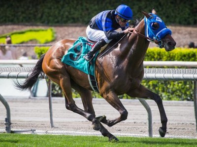 Sharp Samurai Out of Breeders' Cup Mile Due To Illness Image 1