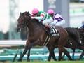 Rey de Oro Tops Stellar Field in This Year's Tenno Sho