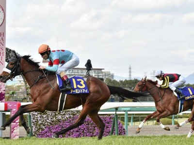 Almond Eye Wins Fillies' Three-Year-Old Triple Image 1