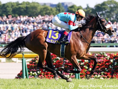 Almond Eye Wins Fillies' Three-Year-Old Triple Image 2