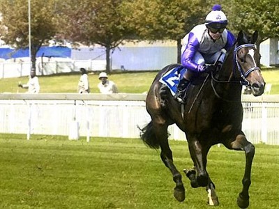 South African Mare Rock Opera Produces French Group One Winn ... Image 1