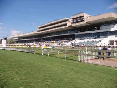 No Whip Race On Charity Mile Day At Phumelela Image 1