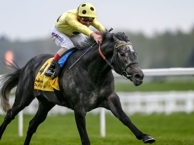 Preview: Gr.1 Grosser Preis Von Bayern (how to watch, where, ... Image 1