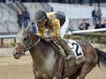 Discreet Lover Helped By Late Jockey Flores Helped On The Path To Breeders Cup