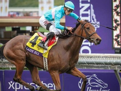 Hill n Dale Wins Lady Eli Bid At US$4.2 Million Image 1