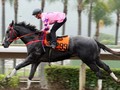 Moreira To Ride HK Favourite Hot King Prawn For Size