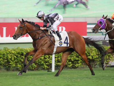 Little Giant Ready For Big Leaps Says Trainer Image 1