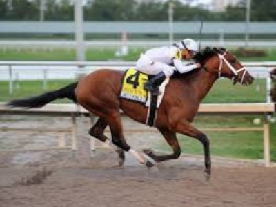 Audible Wins Qatar Cherokee Run Stakes Image 1