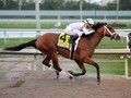 Audible Wins Qatar Cherokee Run Stakes