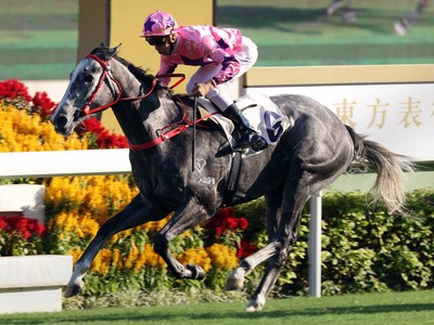 Ivictory Faces Off Old Rival HotKingPrawn In Gr.2 Jockey Clu ... Image 1