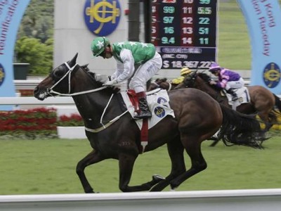 &quot;Pakistan Star’s Too Smart&quot; says Trainer Cruz Image 1