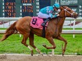 Monomoy Girl Won't Be Headed To The Pegasus