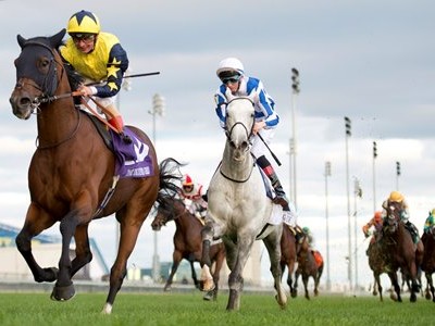 No More Turf Racing At Woodbine This Year Image 1