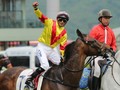 Hong Kong's Team Of Top Jockey's Ready For IJC