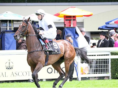 Charpy's Amazon Princess All Set For Next Season In Dubai Image 1