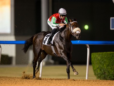 Cosmo Charlie The Star Of The Show Thursday At Meydan Image 1