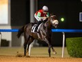 Cosmo Charlie The Star Of The Show Thursday At Meydan