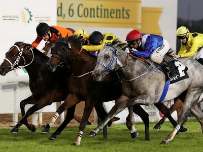 Ajwad Triumphs in Abu Dhabi Feature Handicap Image 1