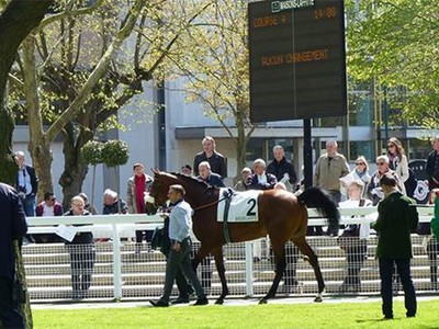 Historic French racecourse set to close Image 1