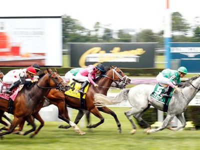 List Of United States Graded and Listed Races for 2019 Relea ... Image 1