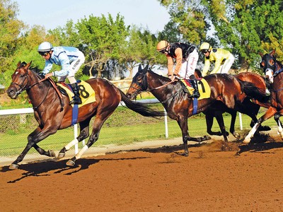 Rio Tigre Lands Jebel Ali Feature Handicap Image 1