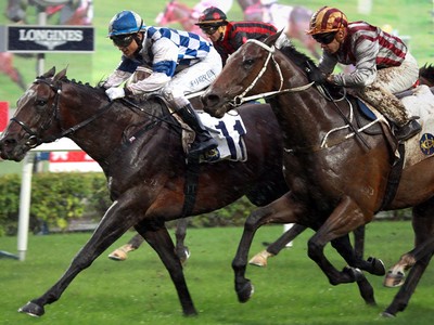 Preview: Gr.1 Longines Hong Kong Cup ( Including Full Result ... Image 2