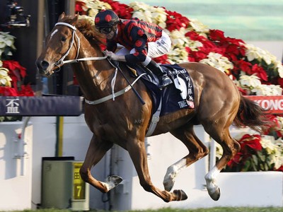 Preview: Gr.1 Longines Hong Kong Cup ( Including Full Result ... Image 1