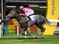 Preview: Gr.1 Hong Kong International Sprint