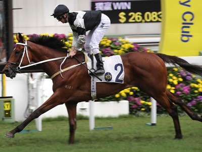 Review: Hong Kong International Races ( Winning Horses, Anal ... Image 2