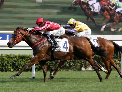 Review: Hong Kong International Races ( Winning Horses, Anal ... Image 3