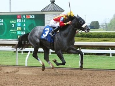 Doug's Drafted Into The Dubai World Cup Carnival (Horse Prof ... Image 1