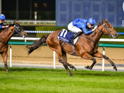 Review: Gr.3 Singspiel Stakes Raceday &amp; Gr.3 Dubawi Stakes ( ... Image 1