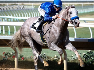 Baffert's Coliseum, Much Better Highlight Sham Field Image 1