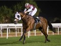 Skygazer Wins First Race Of Year At Abu Dhabi