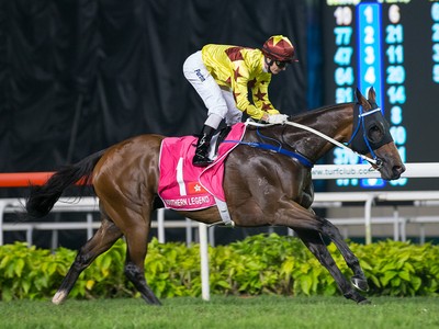 Southern Legend Seeks Retribution In Gr.1 Stewards Cup Image 1